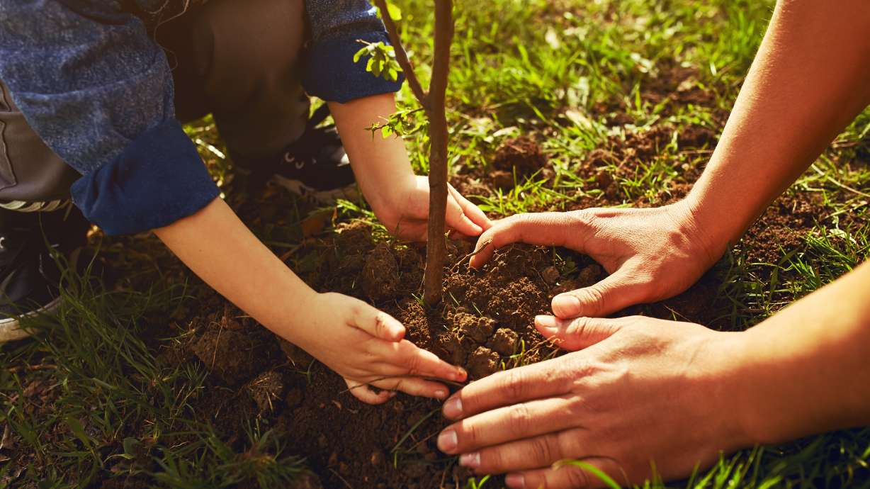 QUIZ: Learn about digging safety and enter to win a $200 Amex gift card!