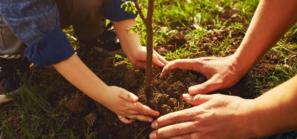 QUIZ: Learn about digging safety and enter to win a $200 Amex gift card