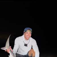 Tiger shark caught off Massachusetts could be sign of warming waters