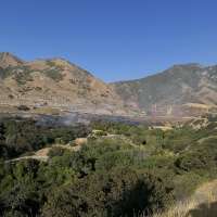 Large brush fire sparks in Millcreek