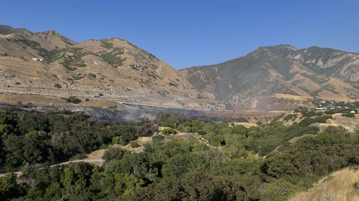 Large brush fire sparks in Millcreek