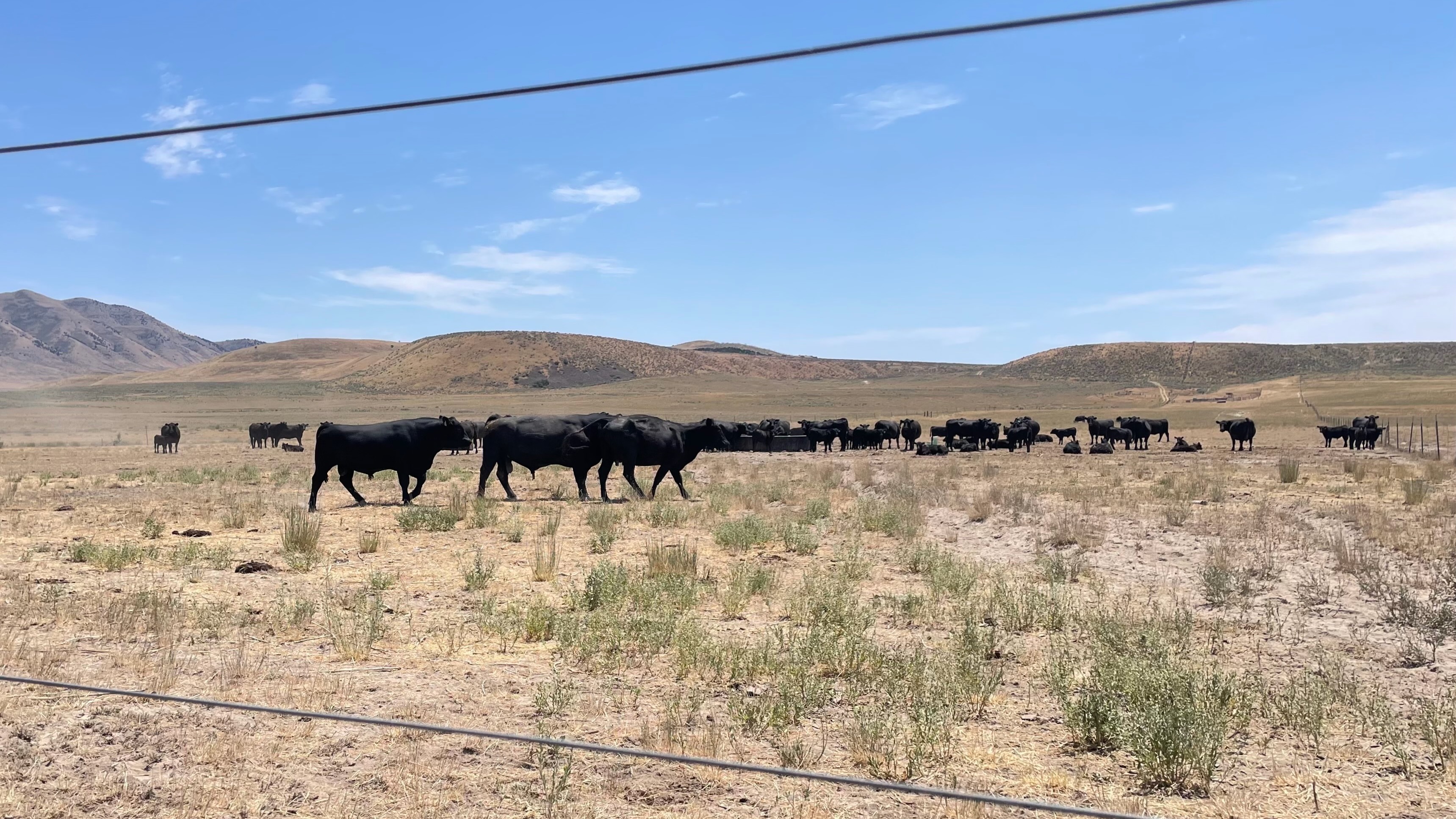 O'Leary Digital, Box Elder County press court to dismiss data center foes' lawsuit