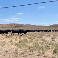O'Leary Digital, Box Elder County press court to dismiss data center foes' lawsuit