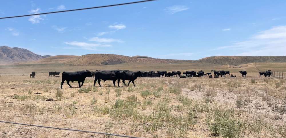 O'Leary Digital, Box Elder County press court to dismiss data center foes' lawsuit