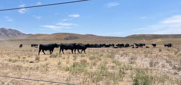 O'Leary Digital, Box Elder County press court to dismiss data center foes' lawsuit