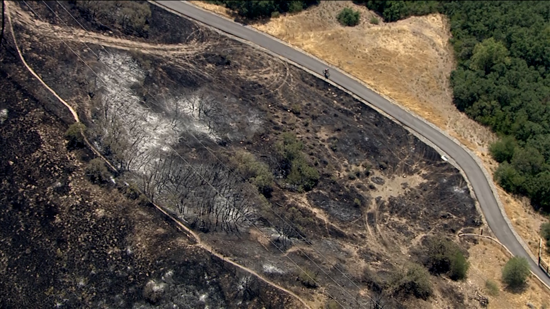 Burnt vegetation is pictured near Parley's Historic Trail on Tuesday.