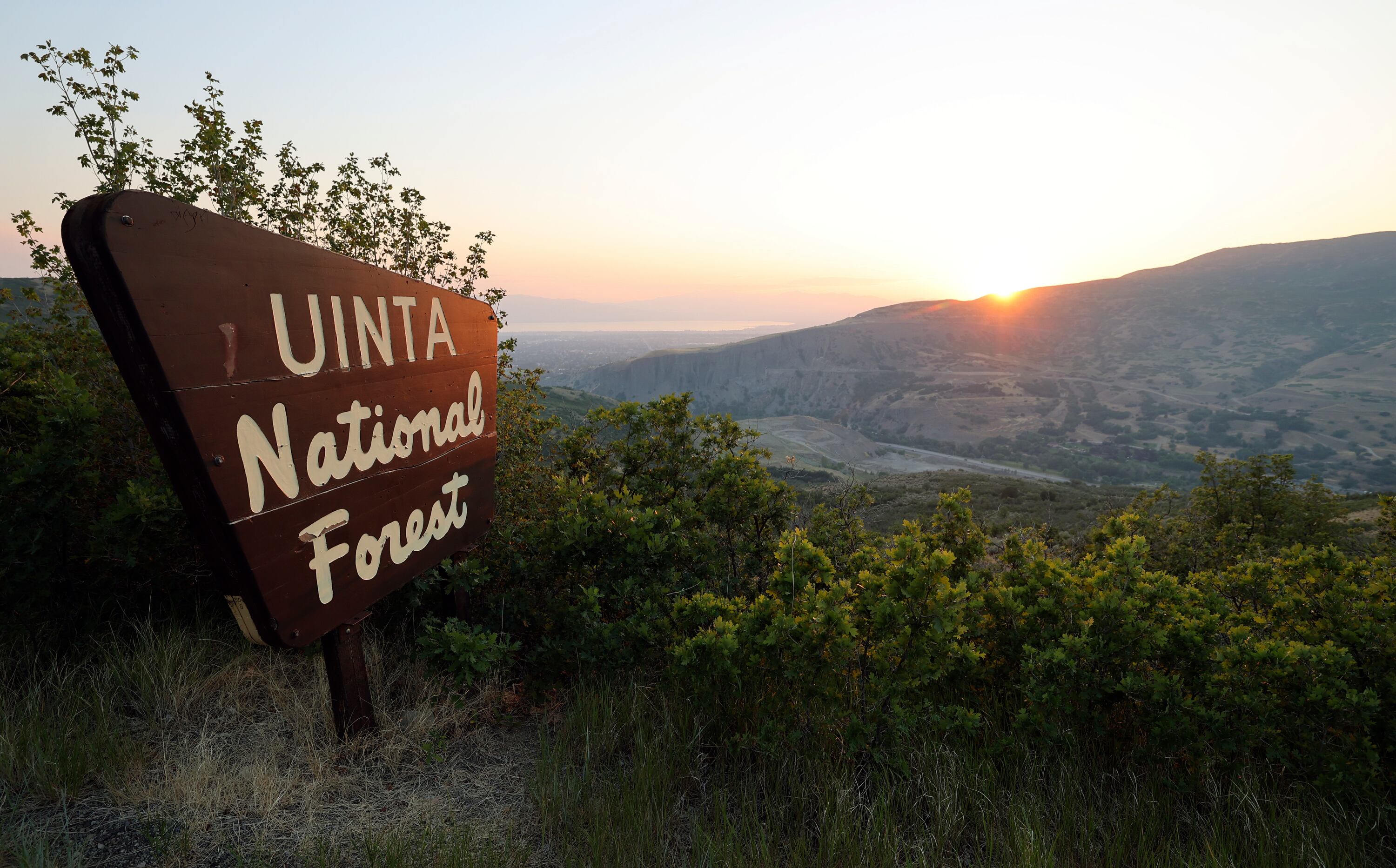 Wildfire prevention emerges as a rare bipartisan priority in Congress