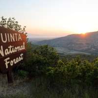Wildfire prevention emerges as a rare bipartisan priority in Congress