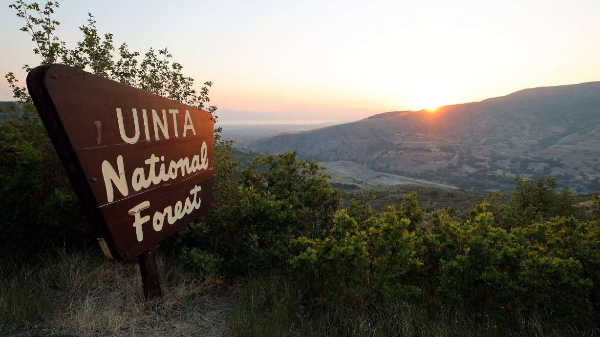 A Uinta National Forest sign is pictured above the site of the proposed Vesper Amphitheater in Provo Canyon on June 22. Senators are pushing to get the Fix Our Forests Act over the finish line.