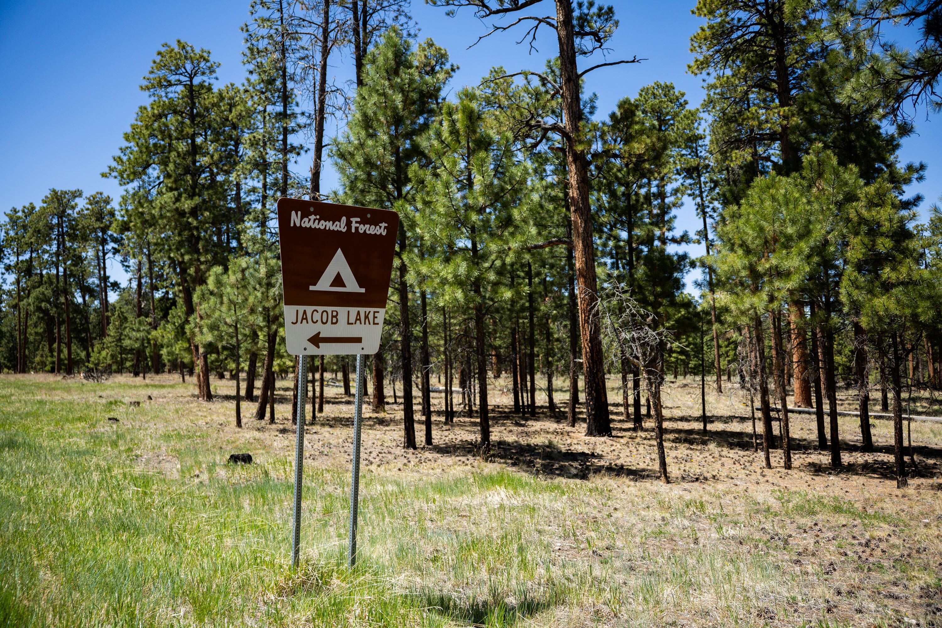Jacob Lake in Kaibab National Forest in Coconino County, Ariz., on May 14. Senators are trying to push the Fix Our Forests Act for wildfire prevention over the finish line.