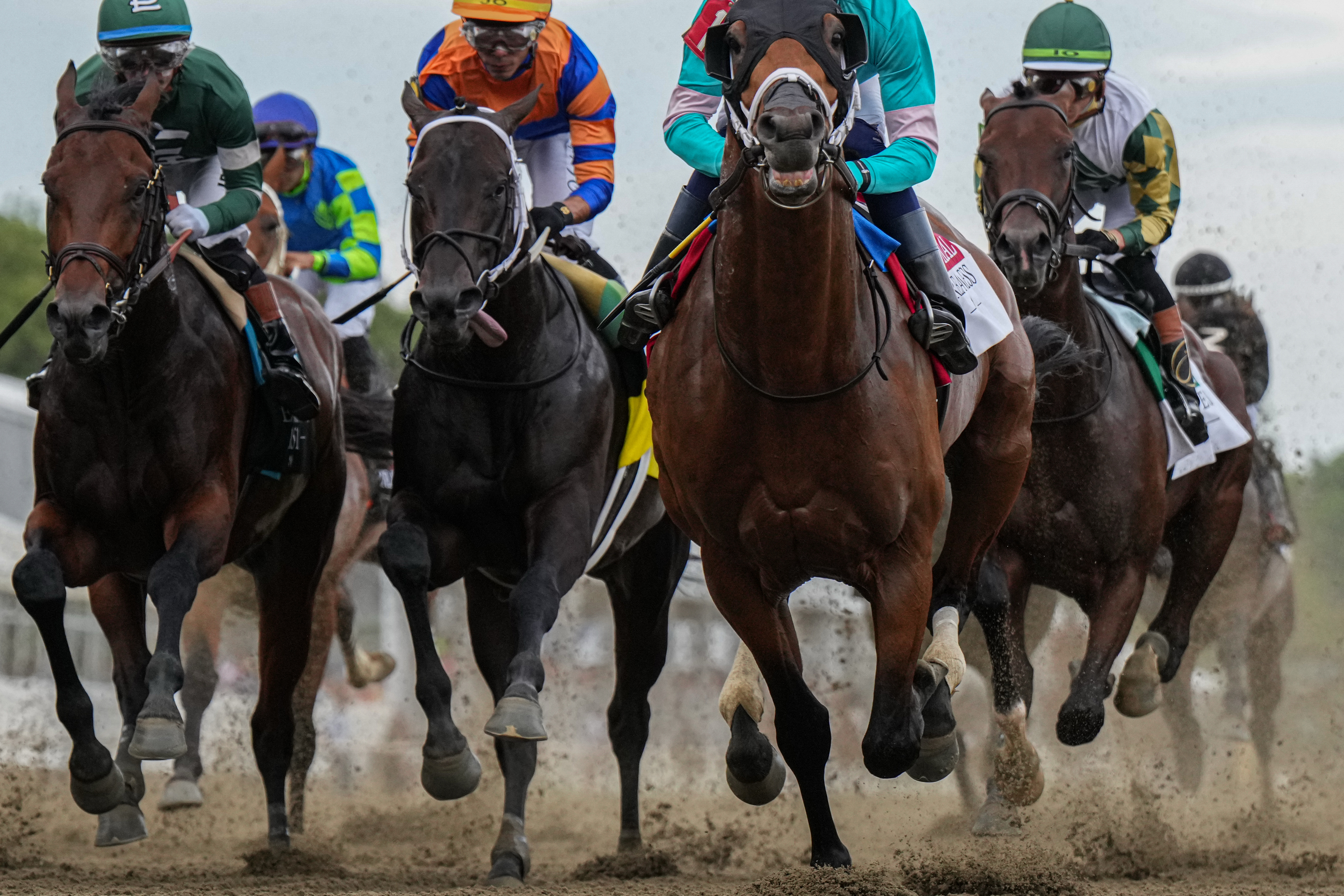 FILE - Taj Mahal and other horses compete during the 151st running of the Preakness Stakes horse race, May 16, 2026, at Laurel Park in Laurel, Md. 