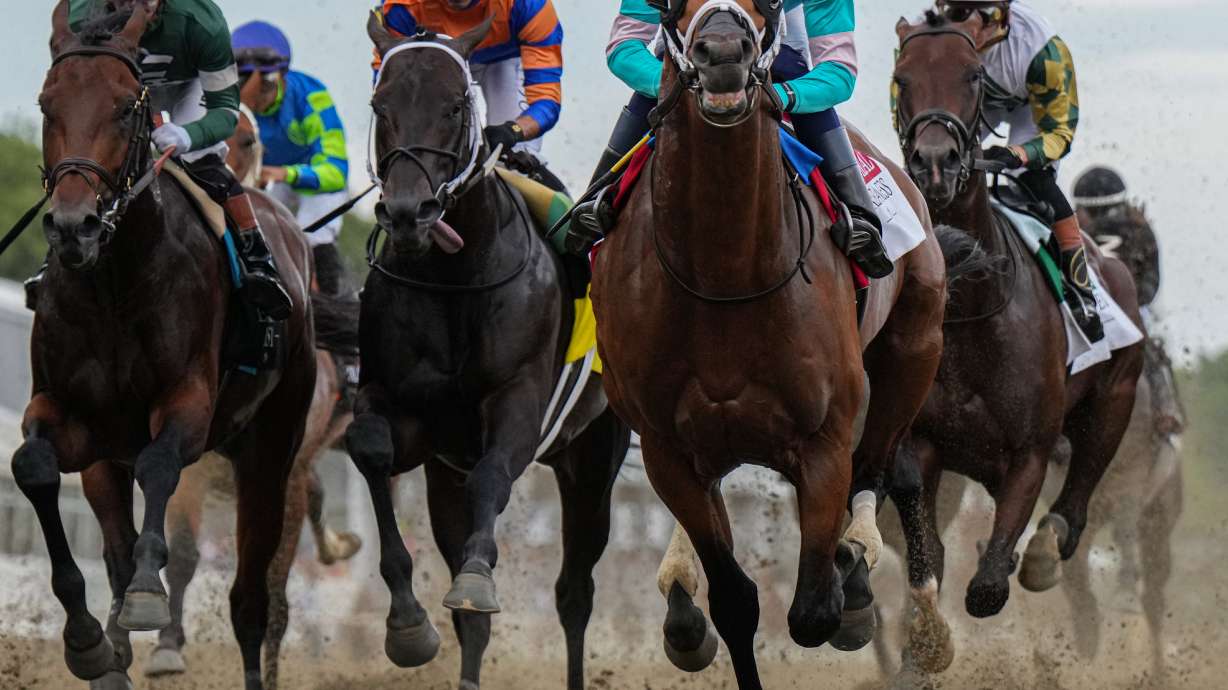 FILE - Taj Mahal and other horses compete during the 151st running of the Preakness Stakes horse race, May 16, 2026, at Laurel Park in Laurel, Md.