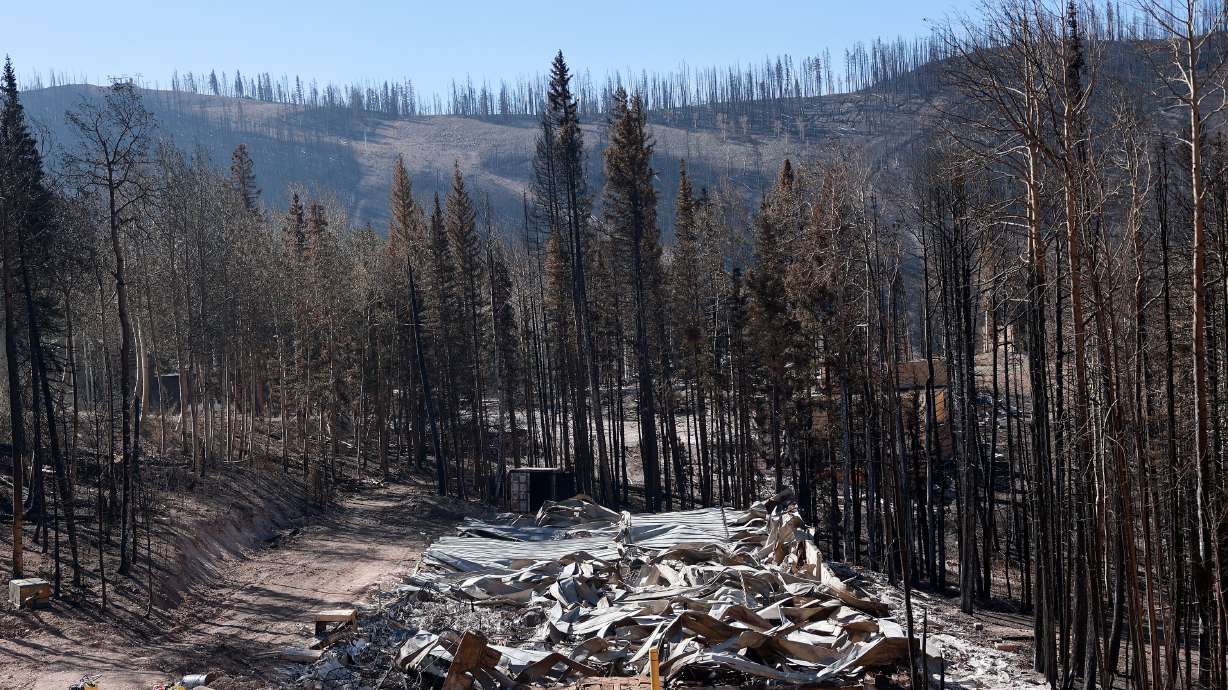 Damage from the Cottonwood Fire can be seen from state Route 153 in Beaver County on July 9. Utah researchers say this year has set a record for acres lost in forest and woodland types.