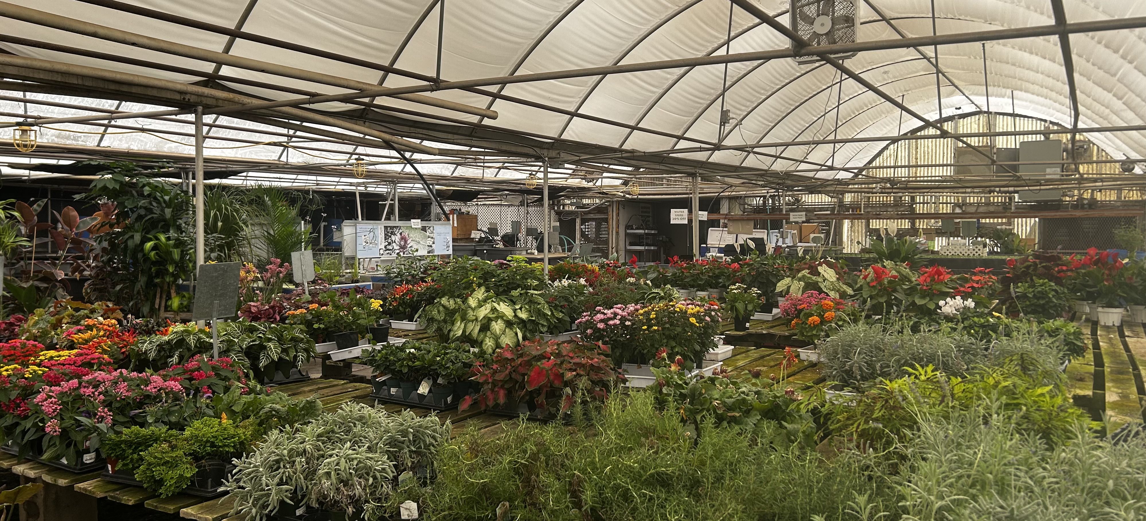 From pioneer roots to thriving nursery: The J&J Garden Center story