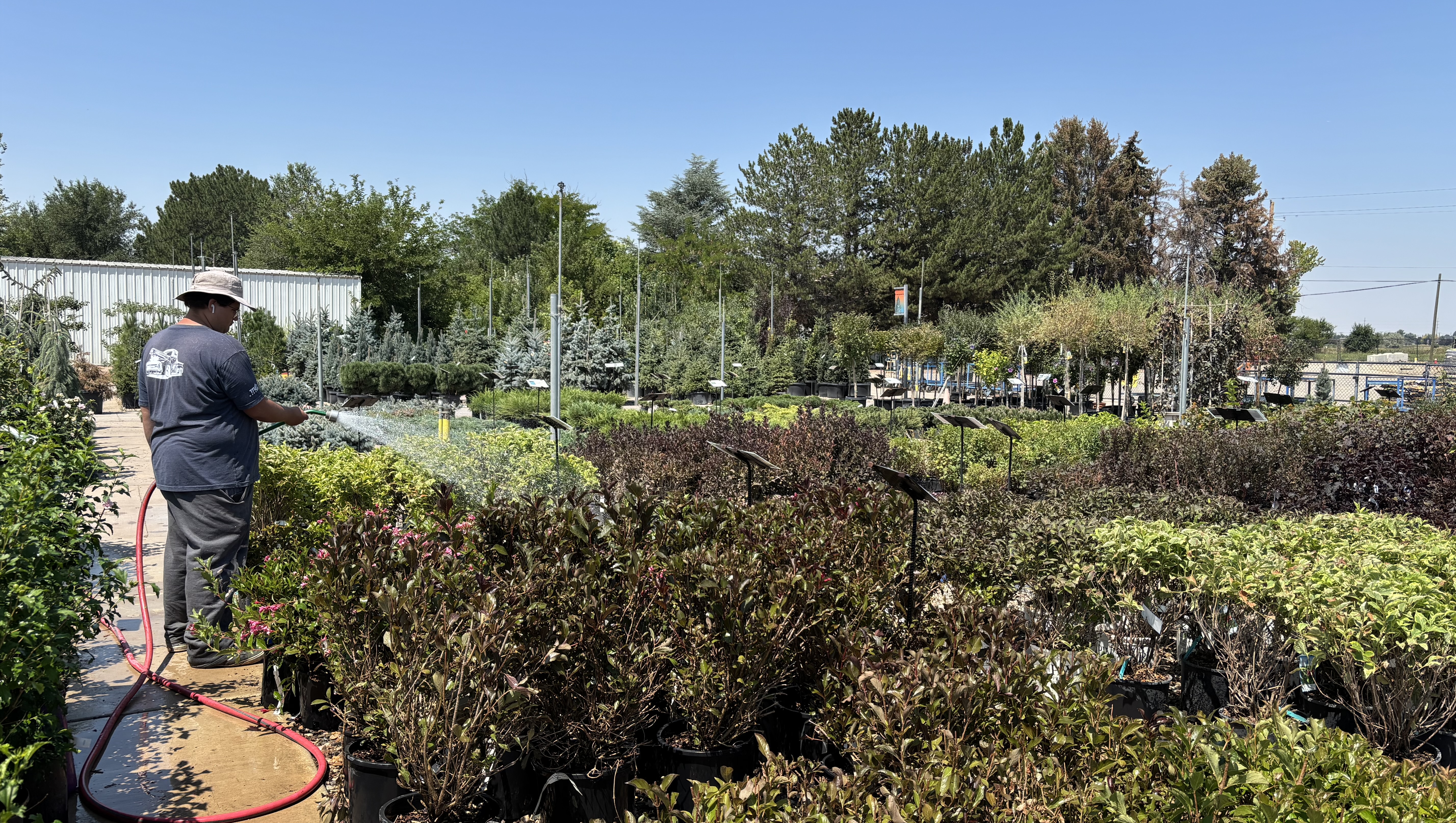 From pioneer roots to thriving nursery: The J&J Garden Center story