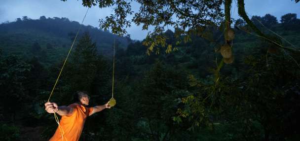 China can't get enough of this smelly fruit as farmers fight extreme weather to feed the craving