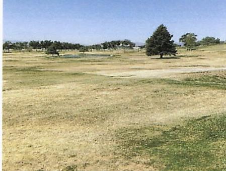 Beaver golf course bans golf carts, cites irrigation issues due to fire, flooding