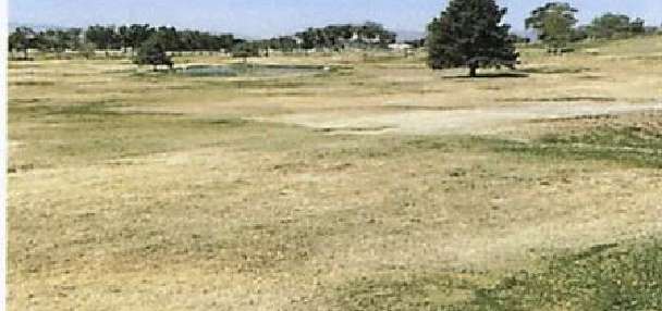 Beaver golf course bans golf carts, cites irrigation issues due to fire, flooding