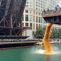 Rubber ducks by the thousands splash into Chicago River for annual Special Olympics fundraiser