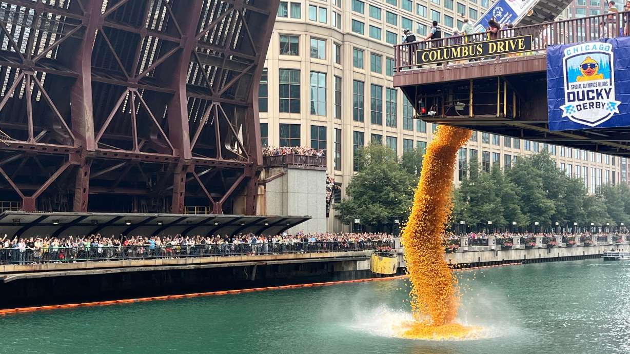 More than 90,000 rubber ducks are dropped into the Chicago River as part of the annual Chicago Duck Derby for Special Olympics Illinois in Chicago, Thursday.