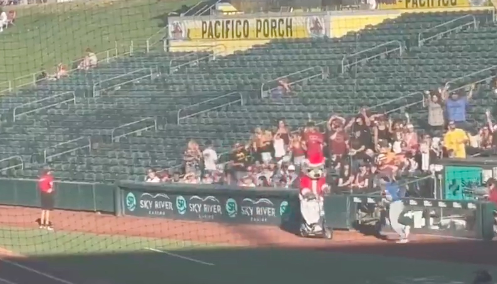 Have You Seen This? Santa-dressed cat runs over baseball player 