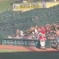 Have You Seen This? Santa-dressed cat runs over baseball player