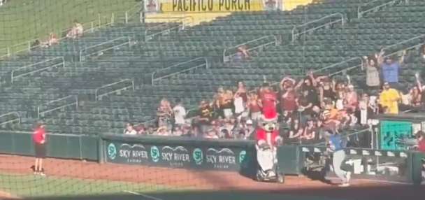 Have You Seen This? Santa-dressed cat runs over baseball player