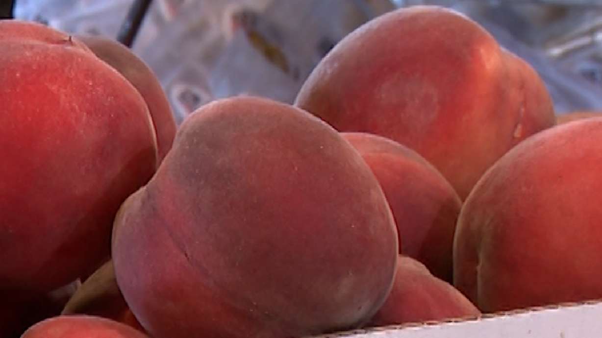 Many Utah farmers lost their fruit crops in April, but some survived and they encourage people to buy local.