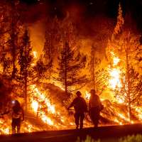 July was the hottest month in the US since records began in 1895