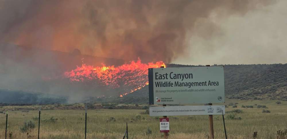Crews slow progress of fire in East Canyon, Henefer areas, but 'quite a few' structures threatened