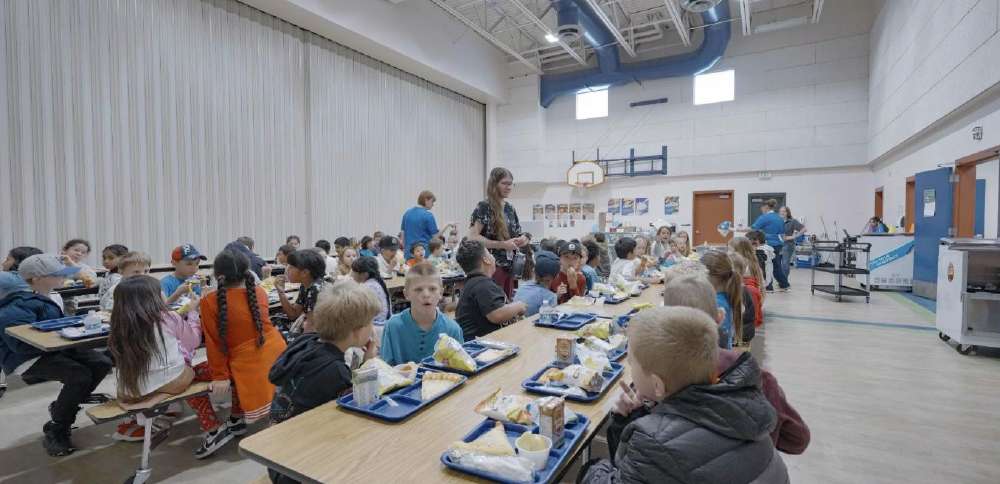 Nourishing minds and bodies: The surprising benefits of school meals