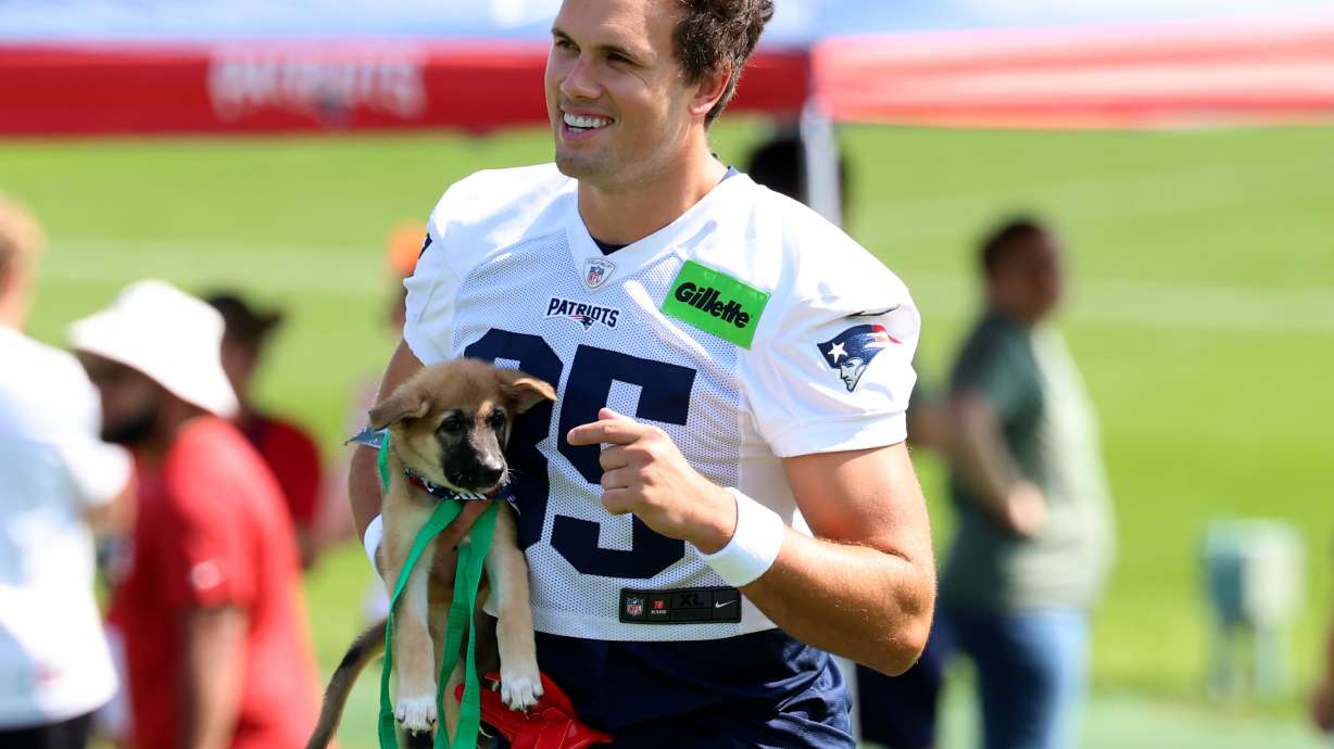 New England Patriots tight end Hunter Henry walks with a dog, part of the team's adopt a dog program at the team's first day of NFL football training camp, Saturday, July 25, 2026, in Foxborough, Mass.