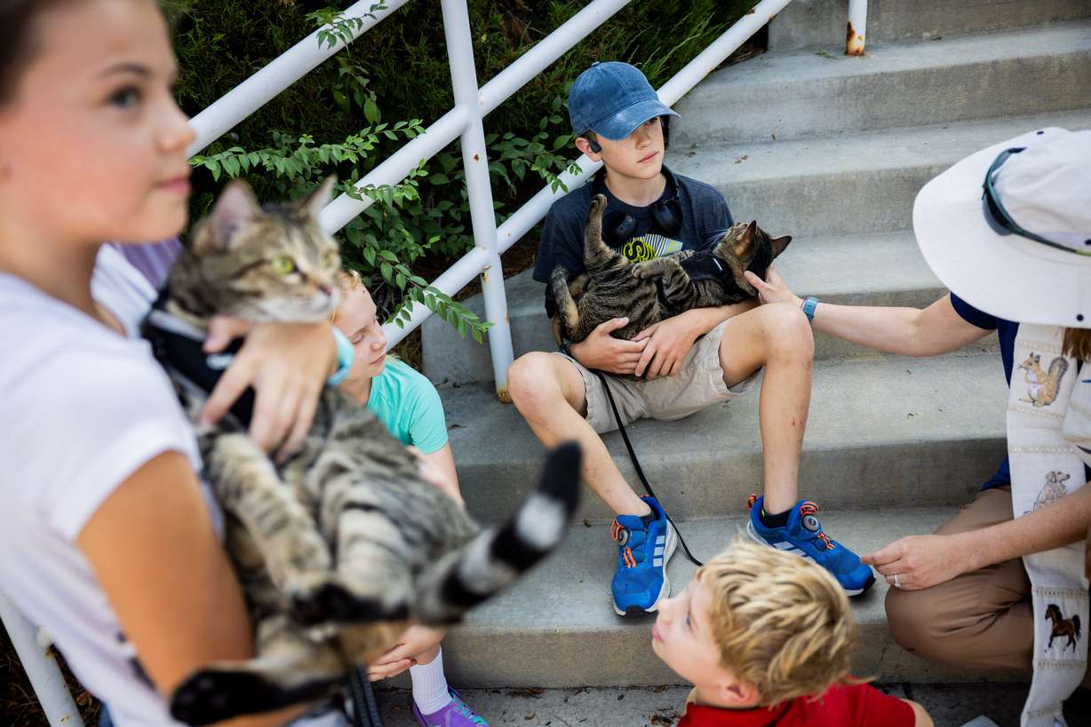 Mazie Kovach, 9, left, holds her cat Savannah as Pastor Sarah Merchant, right, blesses her brother Jackson Kovach’s, 12, center, cat Chatham during a Blessing of the Animals in conjunction with the celebration of the Hilltop United Methodist Church’s 125th anniversary at Hilltop United Methodist Church in Sandy on Saturday.