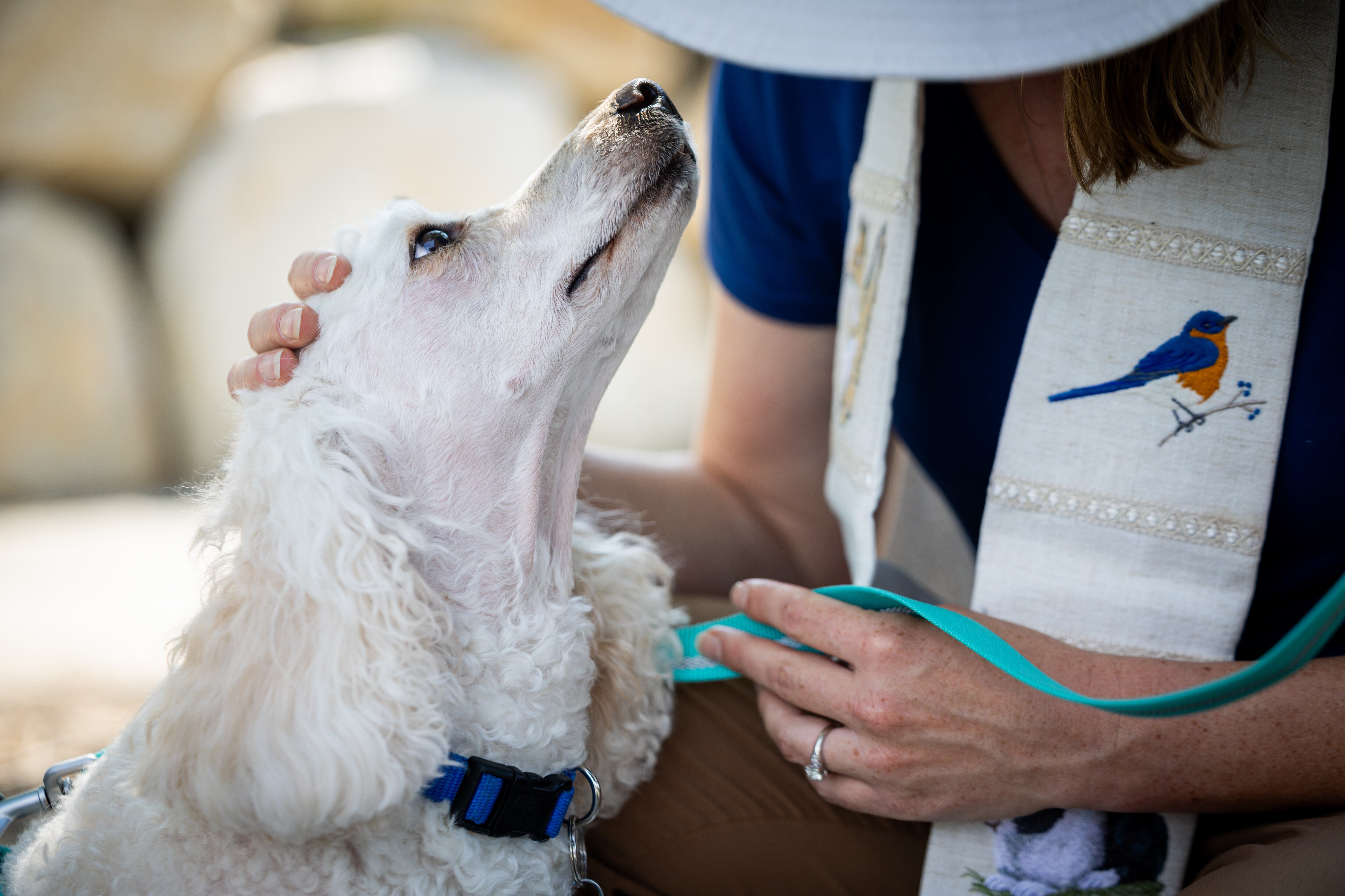 Pastor Sarah Merchant, right, blesses Kelsie, left, during a Blessing of the Animals in conjunction with the celebration of the Hilltop United Methodist Church’s 125th anniversary at Hilltop United Methodist Church in Sandy on Saturday.