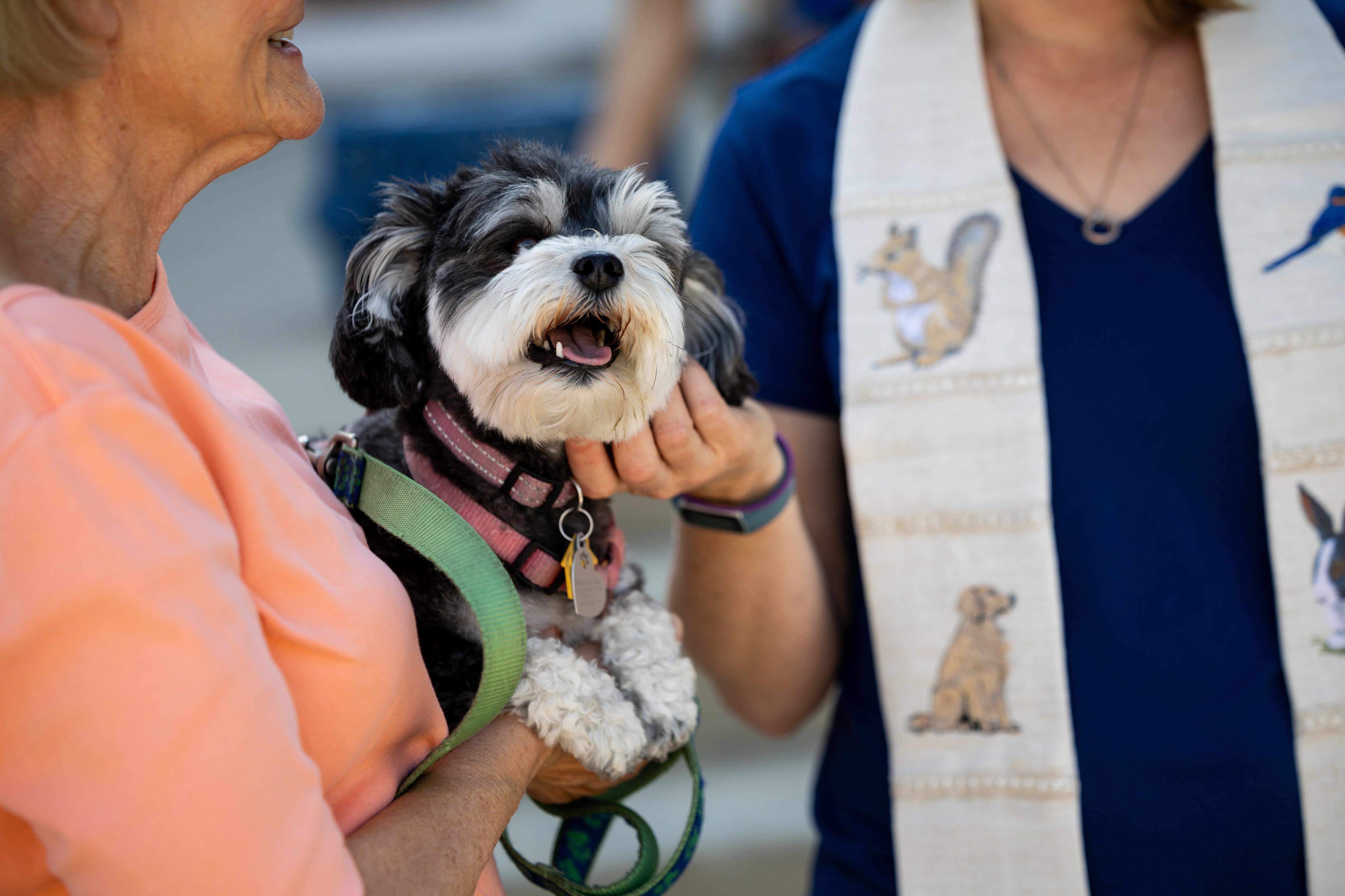 Pastor Sarah Merchant, right, blesses Deb Hale’s, left, dog Scotti during a Blessing of the Animals in conjunction with the celebration of the Hilltop United Methodist Church’s 125th anniversary at Hilltop United Methodist Church in Sandy on Saturday.