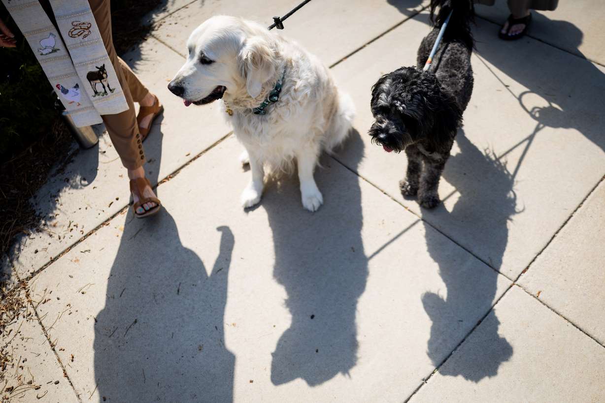 Pastor Sarah Merchant, left, walks by Yoda, center, and Ninja, right, during a Blessing of the Animals in conjunction with the celebration of the Hilltop United Methodist Church’s 125th anniversary at Hilltop United Methodist Church in Sandy on Saturday.