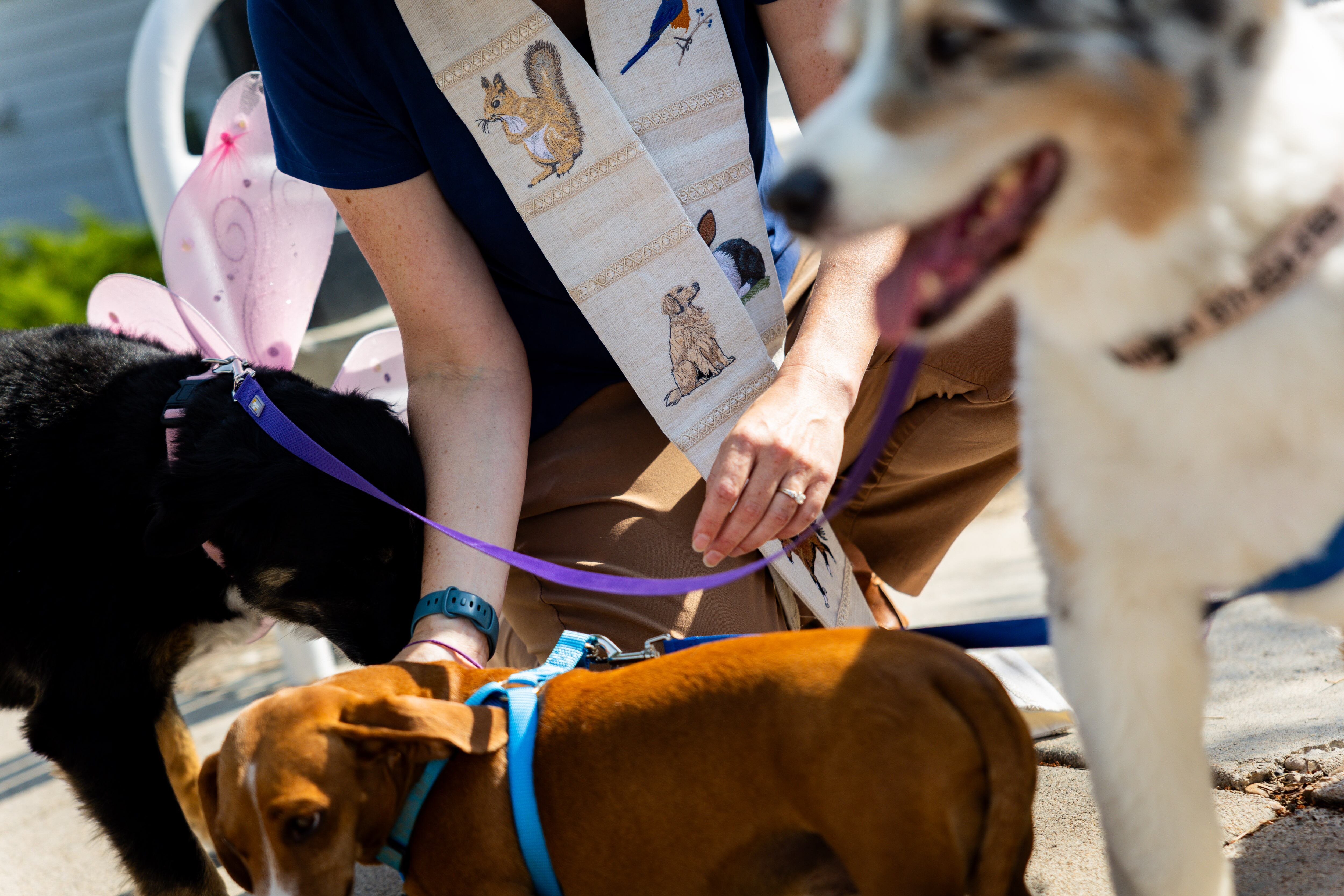 Pastor Sarah Merchant, center, blesses Andrea Haugen’s, off camera, dogs during a Blessing of the Animals in conjunction with the celebration of the Hilltop United Methodist Church’s 125th anniversary at Hilltop United Methodist Church in Sandy on Saturday.