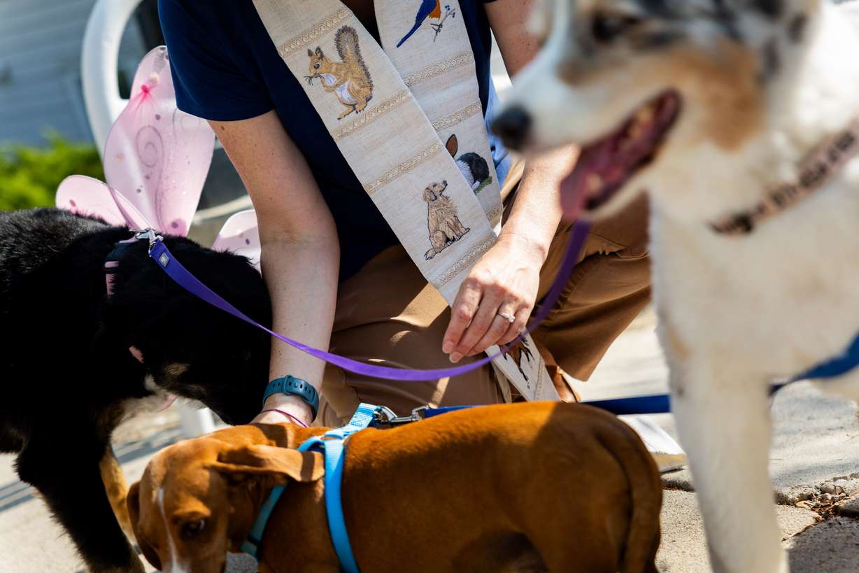 Pastor Sarah Merchant, center, blesses Andrea Haugen’s, off camera, dogs during a Blessing of the Animals in conjunction with the celebration of the Hilltop United Methodist Church’s 125th anniversary at Hilltop United Methodist Church in Sandy on Saturday.