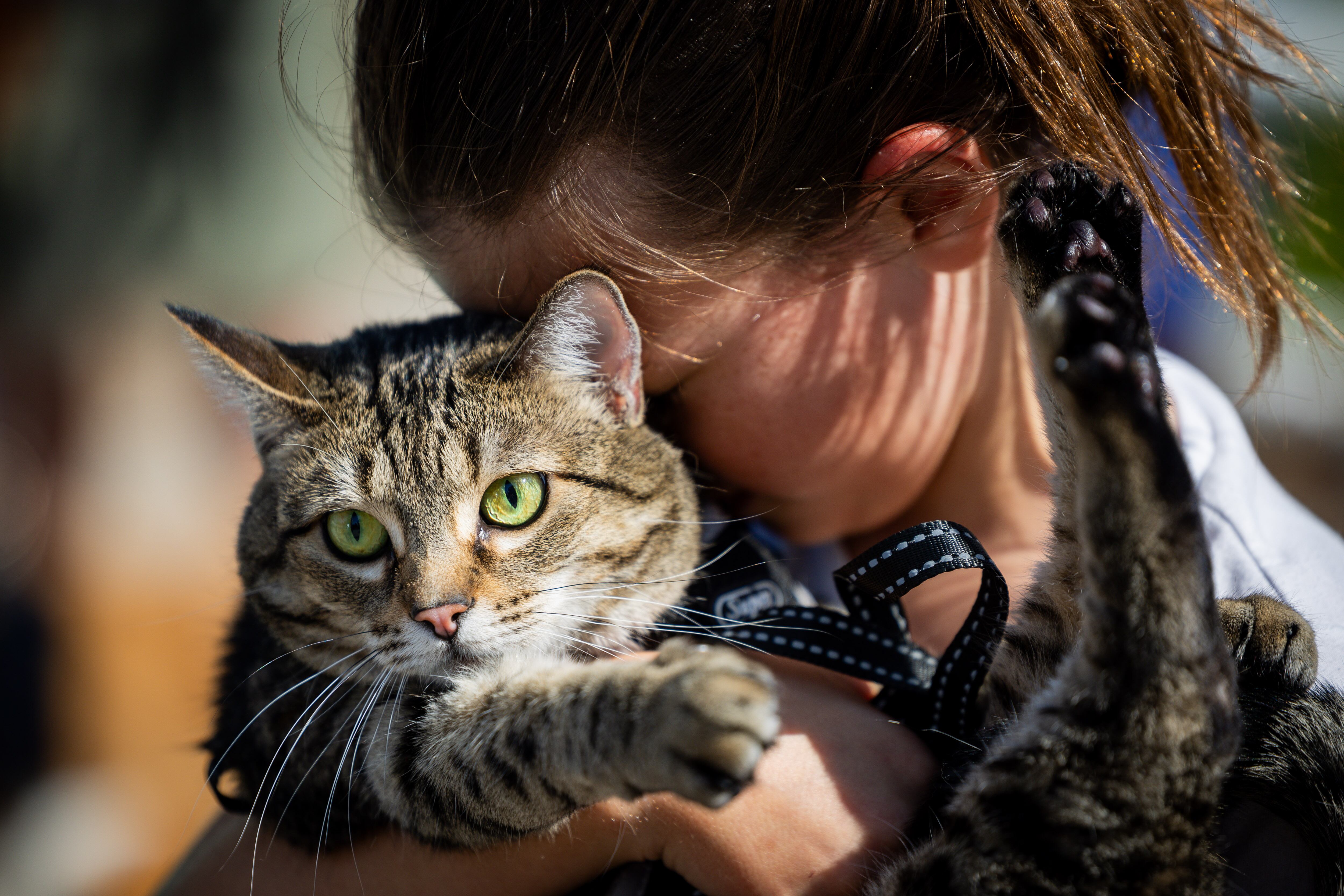 Mazie Kovach, 9, holds her cat Savannah before Pastor Sarah Merchant blesses Savannah during a Blessing of the Animals in conjunction with the celebration of the Hilltop United Methodist Church’s 125th anniversary at Hilltop United Methodist Church in Sandy on Saturday.