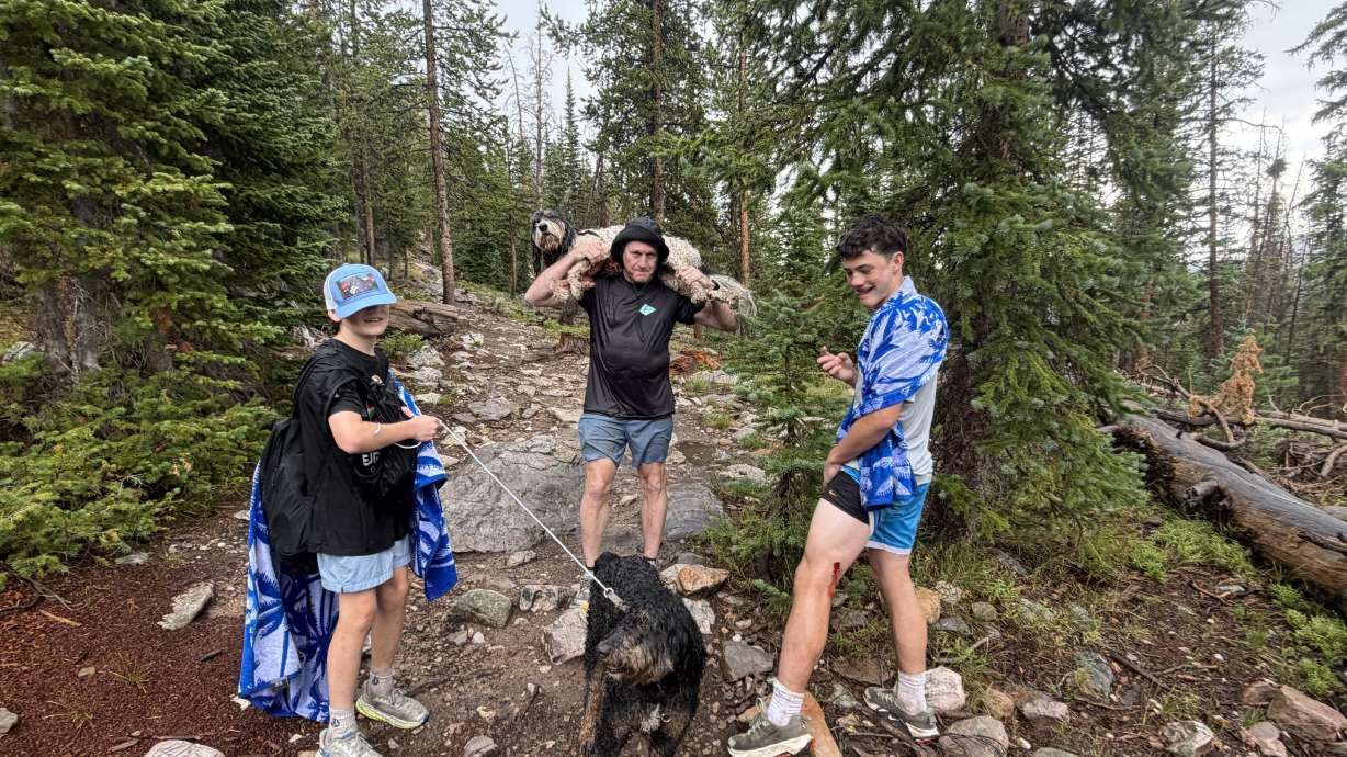 The Cates family encountered a nanny mountain goat and her kid in the Uinta Mountains. Damien, 15, and the dog were injured but are expected to recover.