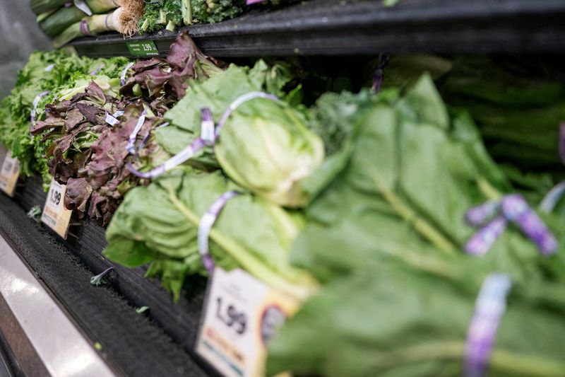 Lettuce is displayed for sale, amid reports of slumping consumer confidence in lettuce and other fresh produce during the current cyclosporiasis outbreak that has sickened thousands across the U.S., at a grocery store in Washington, D.C., July 24.