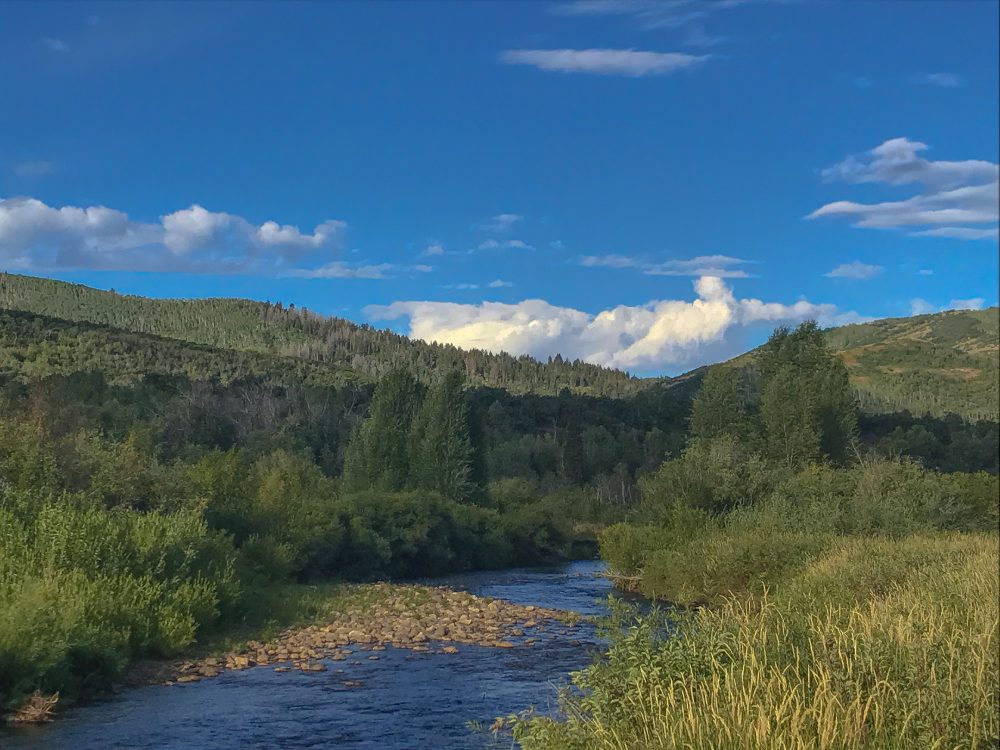Provo River Days