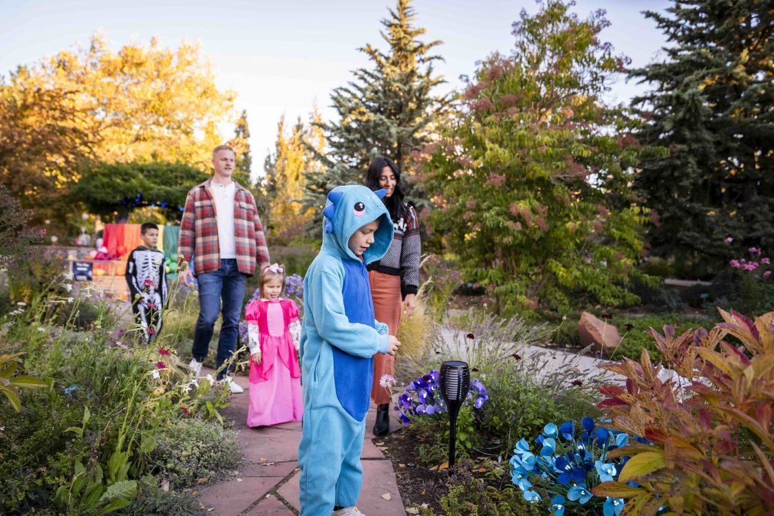 2026 Garden After Dark: Adventures in Neverland