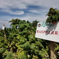 September declared 'Utah's Own Month' to honor local agriculture