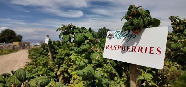 September declared 'Utah's Own Month' to honor local agriculture