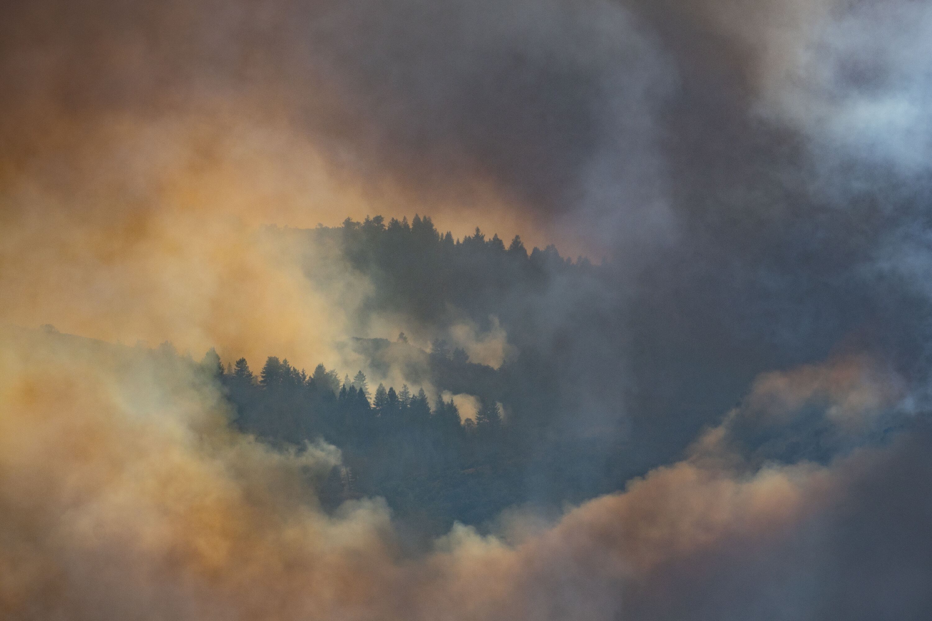 The lasting effects of Utah's wildfires: By the numbers