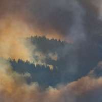 The lasting effects of Utah's wildfires: By the numbers