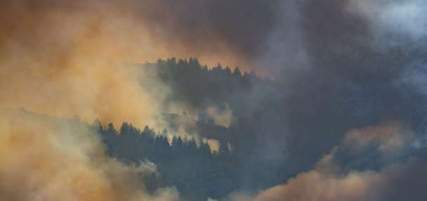 The lasting effects of Utah's wildfires: By the numbers