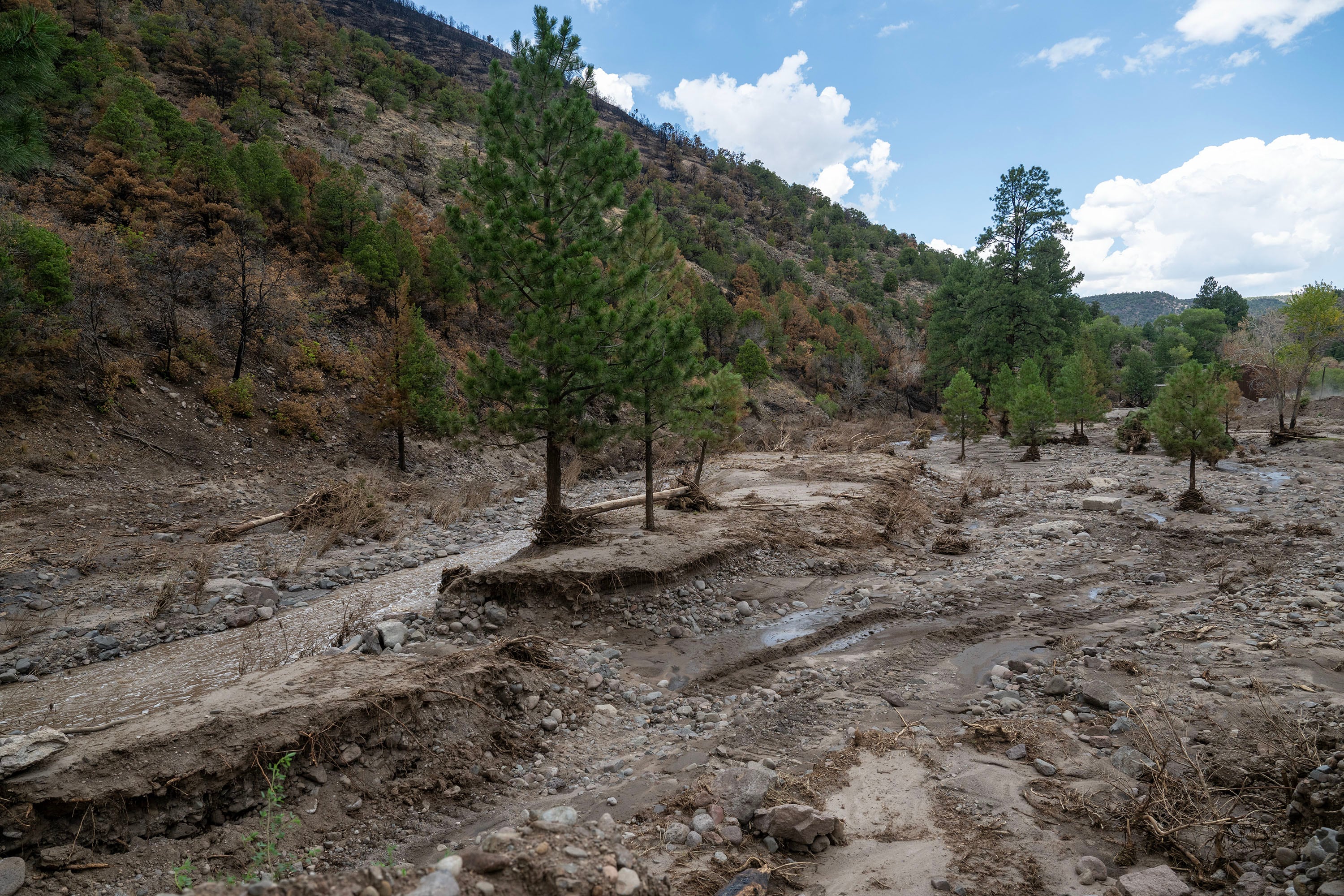 Debris from the floods in Beaver Canyon lines the edges of the river from the Cottonwood Fire burn scar in the Fishlake National Forest, July 24. Experts say water supplies could be affected for years because of the fire.
