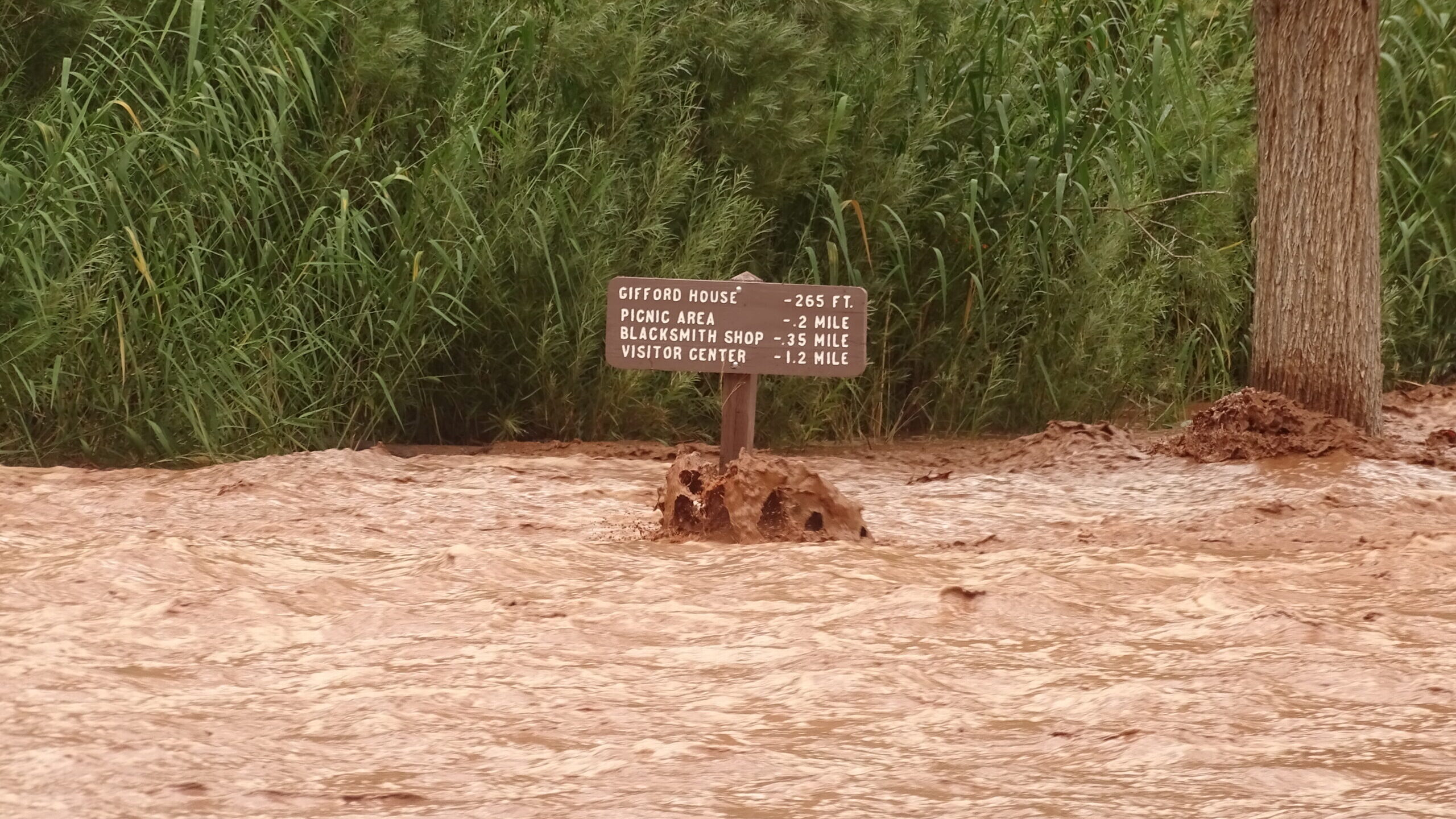 Flash flood warnings issued for multiple areas across southern Utah